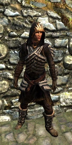 Wild Hunt Light Armor - Female
