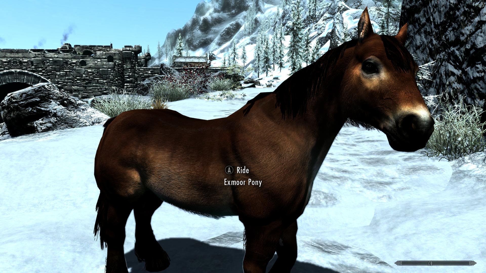 skyrim se immersive horses