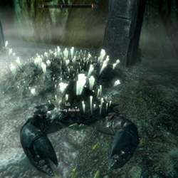 Skyrim Skyrim