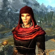 Apotheus Hood with Scarf Item ID: xx004356