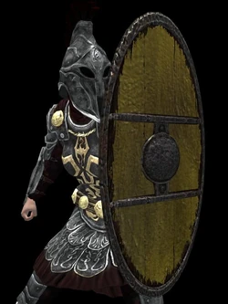 Heavy Splinted Body Shield