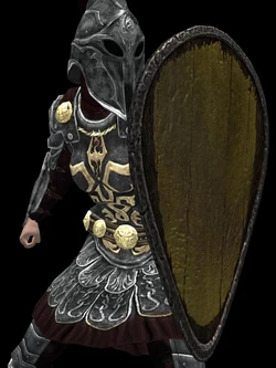 Heavy Painted Kite Shield