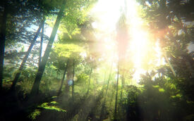 Tropical Skyrim