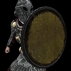 Heavy Painted Round Shield