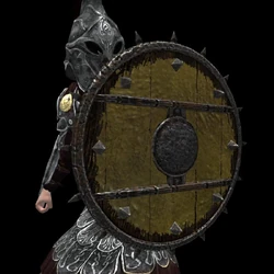Heavy Spiked Round Shield