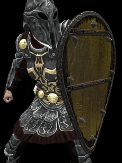 Light Spiked Kite Shield