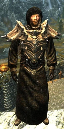 Dragonhide Robes - Male