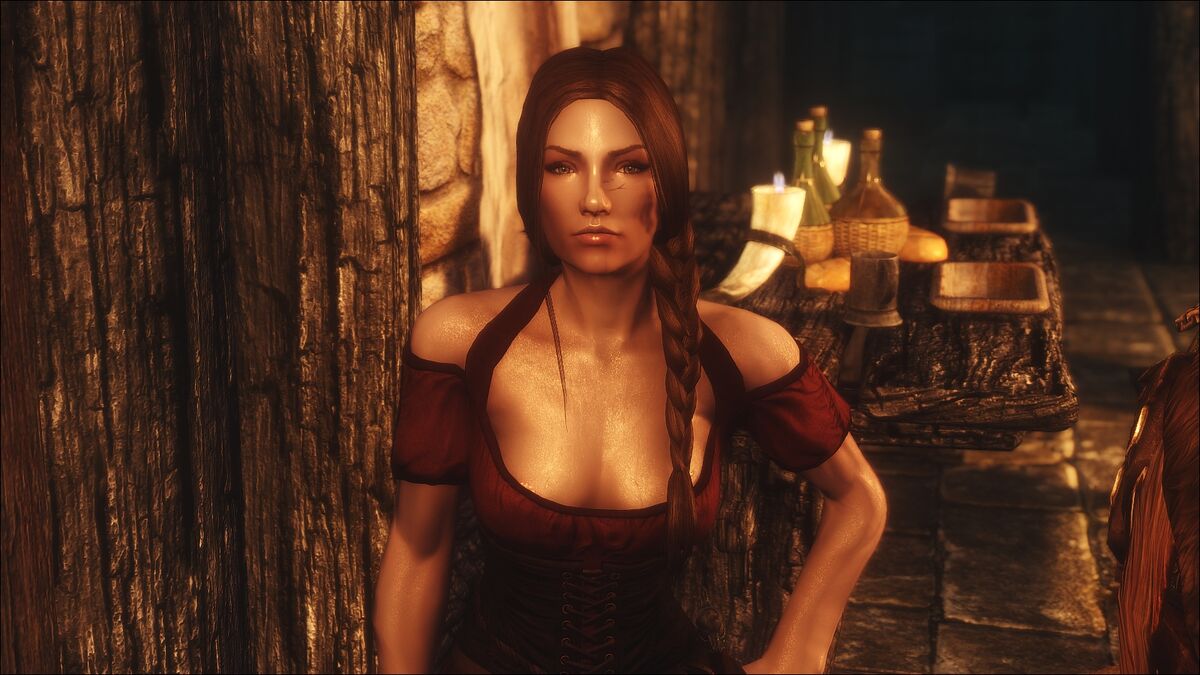 Arissa - The Wandering Rogue translation brazilian portuguese PT-BR -  Version 2.2.2 at Skyrim Nexus - Mods and Community