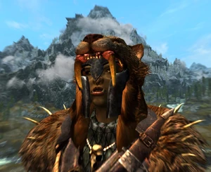 Warchief Headdress Item ID (Heavy): xx000d90 Item ID (Light): xx000d91