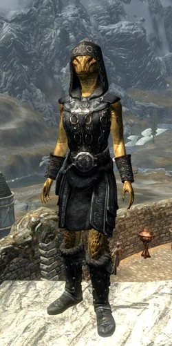 Ringmail Armor - Female