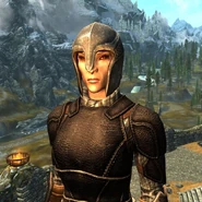 Apotheus Helm Item ID: xx00b64d