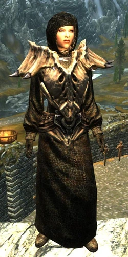 Dragonhide Robes - Female