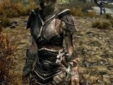 Race Mods (Skyrim)