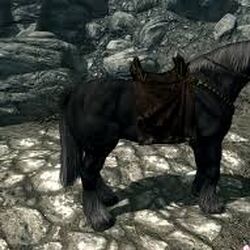 Cavalo, The Elder Scrolls Wiki