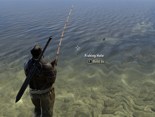 Fishing