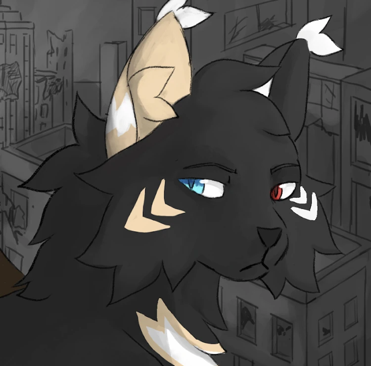 Ayki Experience N7 Wiki Fandom