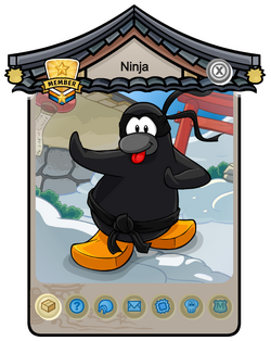 Desafio-Ninja, Wiki Club Penguin Brasil