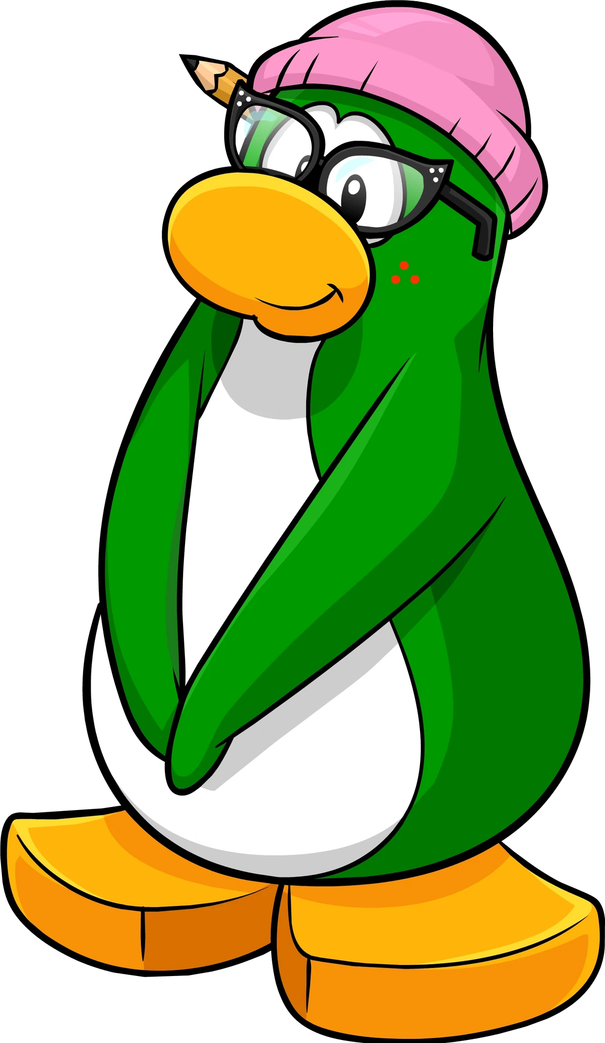 Aunt Arctic Club Penguin Legacy Wiki Fandom