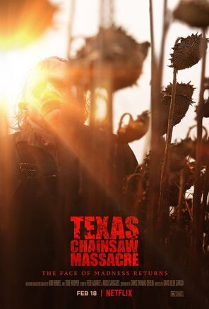 NetflixTCMPoster2.jpg