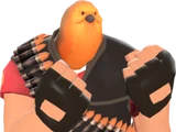 Pootis