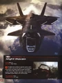 2009 Night Raven variant