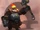 Bulwark