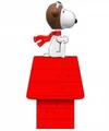Ace's Childhood Hero. He had to love Snoopy verus the Red Baron!