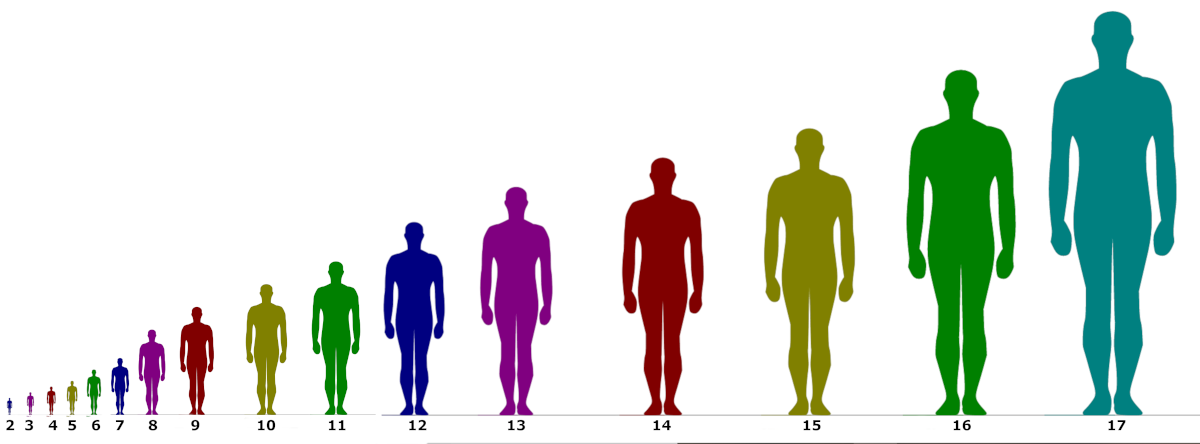 transformers size comparison charts