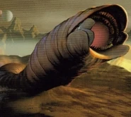 SnakeTransOrganic.jpg (52 KB)