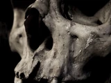 List of Dead Characters