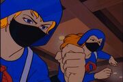 Cobra-Gals.jpg