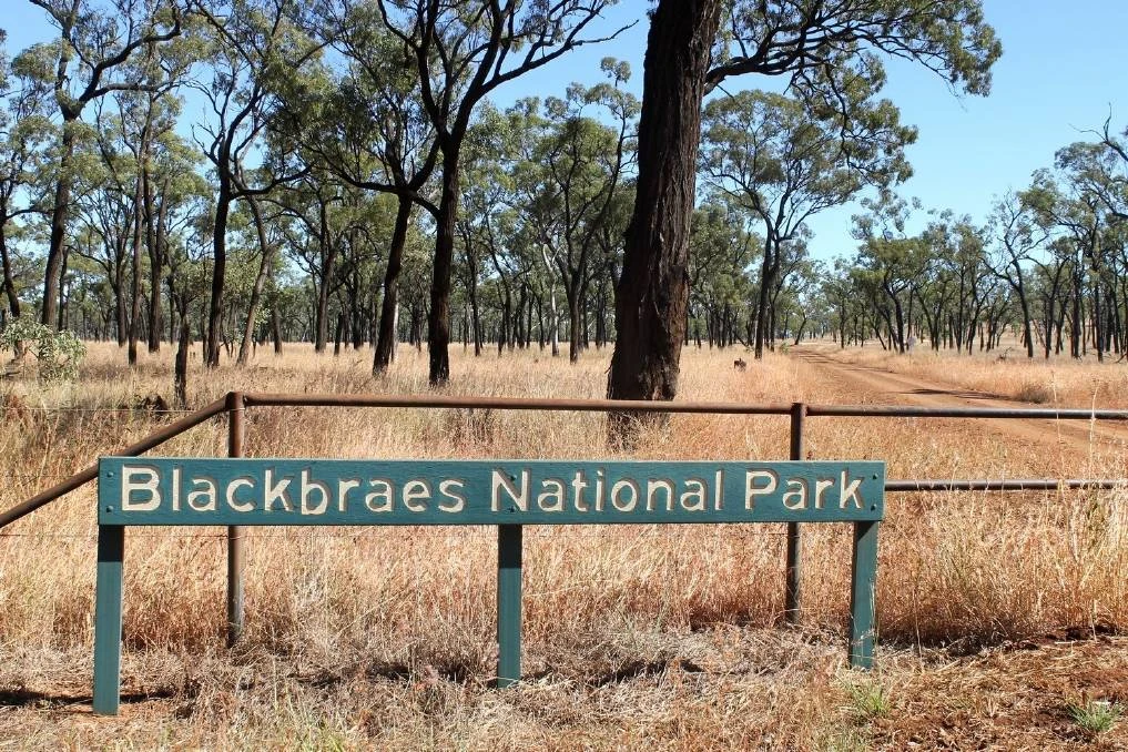 Blackbraes National Park Transformers Universe MUX Fandom