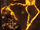 Netherrealm