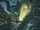 Dweller TP