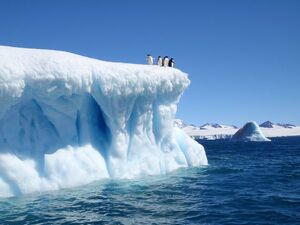 Soldier penguins