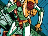 Rung