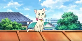 ภาพยนตร์รีเมค