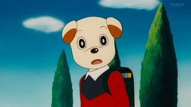 จิปโปะดาวสัตว์