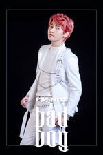 "I'm Not a Badboy" (1)