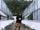Fourteen