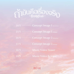 Release schedule