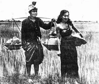 2478พญาน้อยชมตลาด 2.jpg (29 กิโลไบต์)