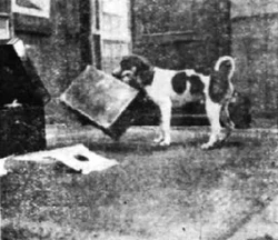 2481จ๊ะเอ๋