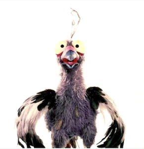 Bird | Thanksgiving Specials Wiki | Fandom