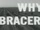Why Braceros?