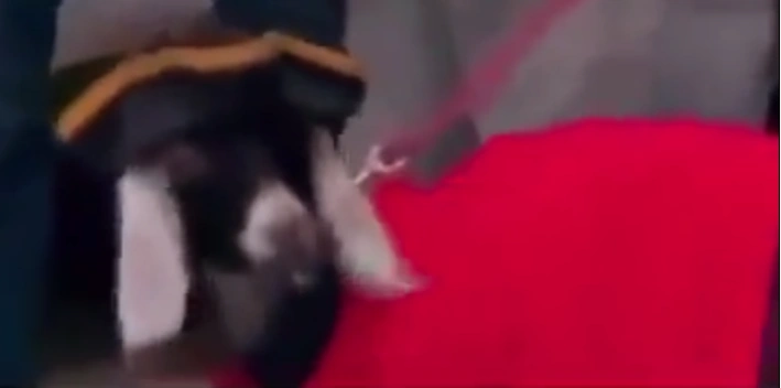 Gomez | That's So Raven wiki | Fandom