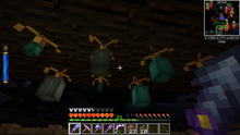 Mana bean farm
