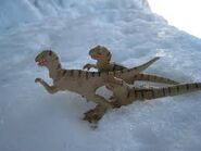 Raptor Pirates march through the snow