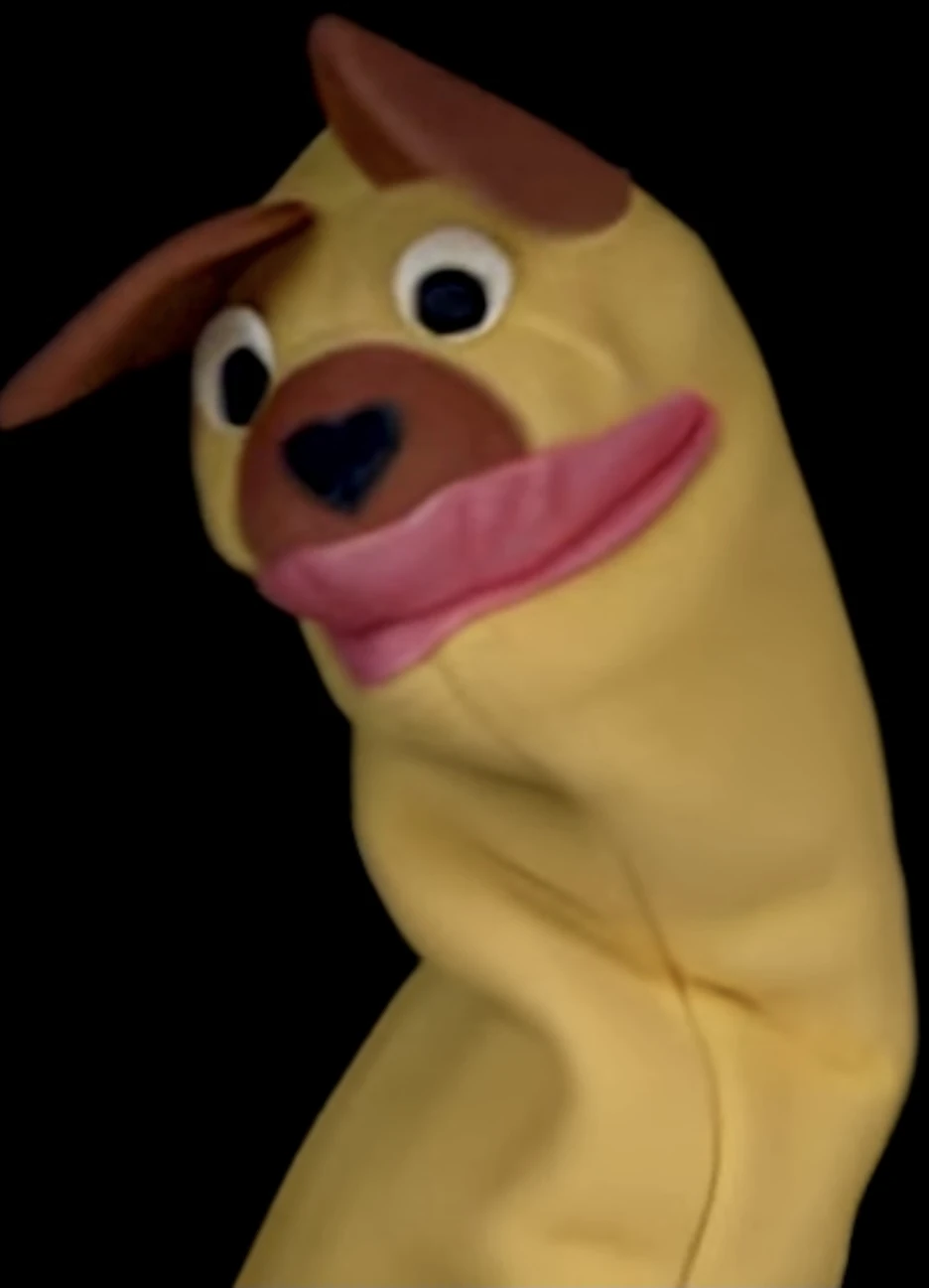 Baby Mozart the Yellow Bear The Accurate Baby Einstein Wiki Fandom