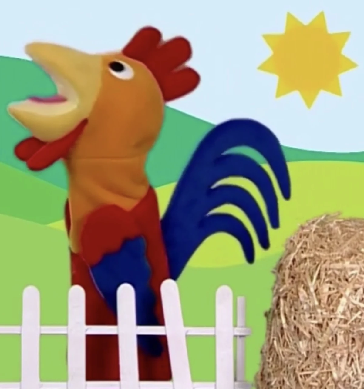 Rooster The Accurate Baby Einstein Wiki Fandom
